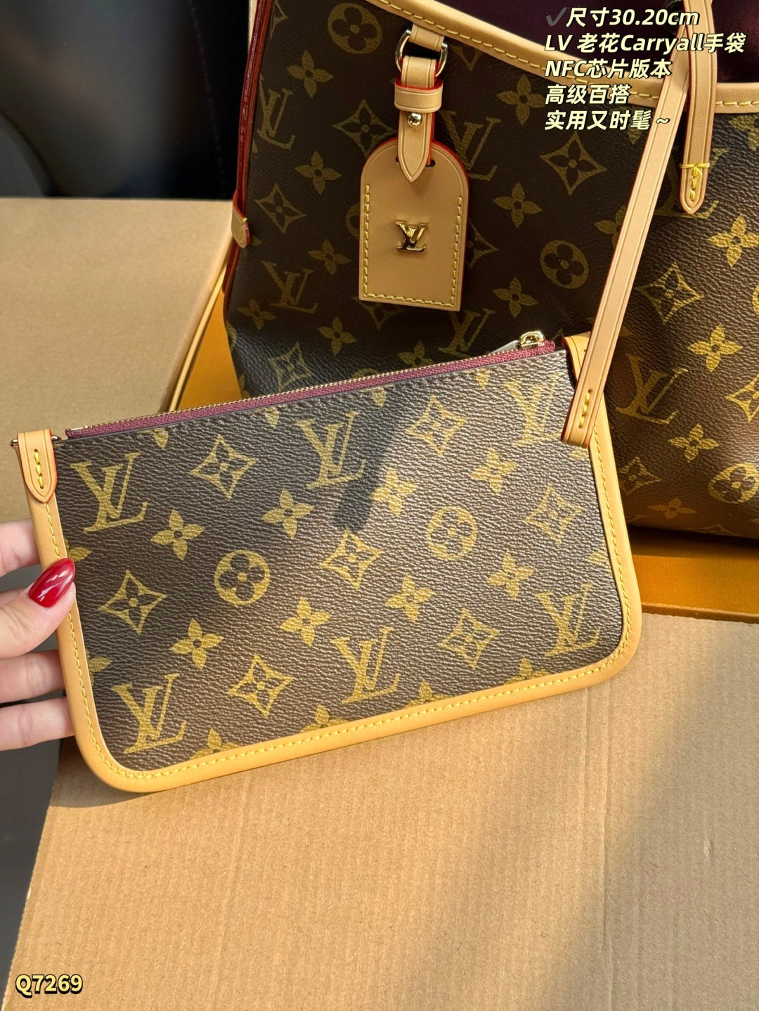LU Bag Monogram 30 cm