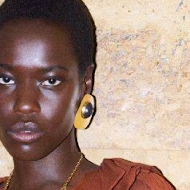 Y L Fashion earrings