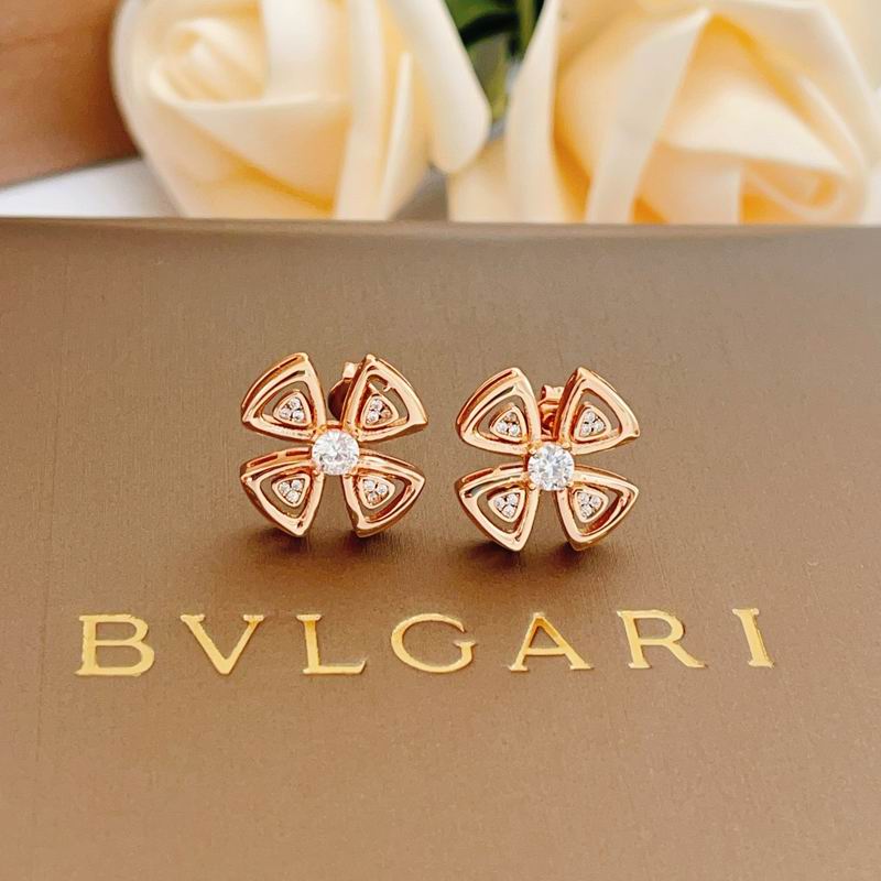 BLGR Fashion Earrings