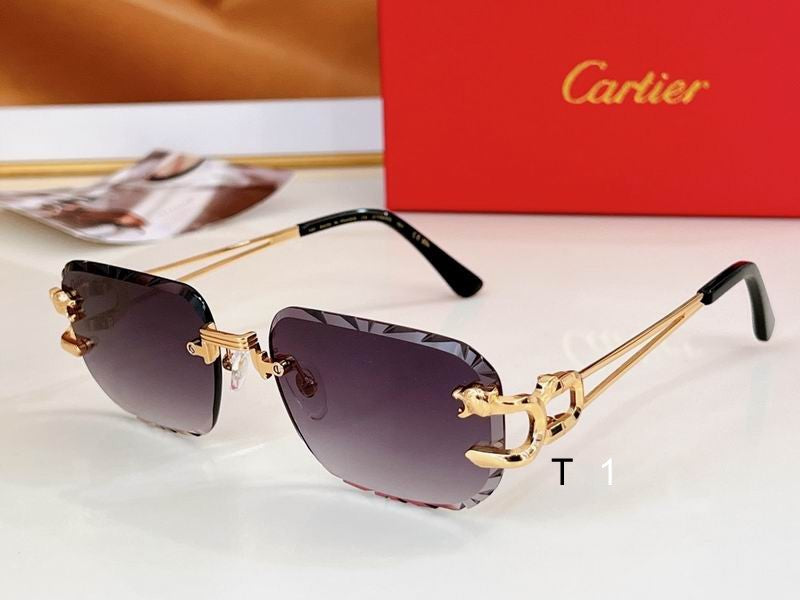 CARTI  Sunglasses 2 Color's ( (Copy)