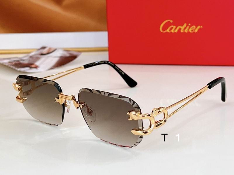 CARTI  Sunglasses 2 Color's ( (Copy)