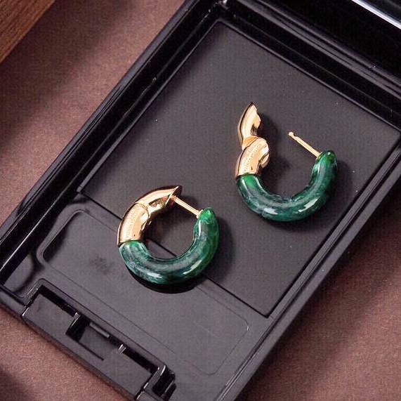 BOT VENET Fashion earrings