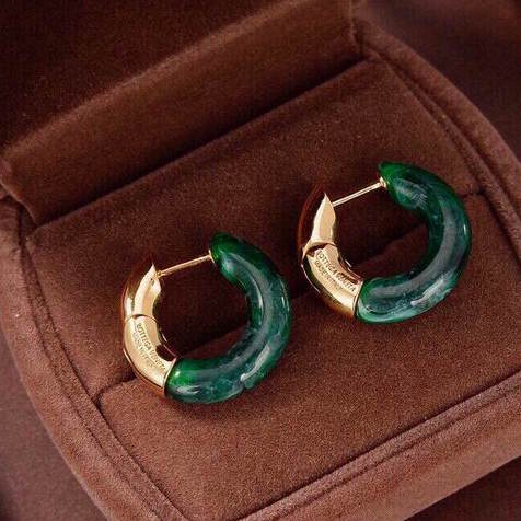 BOT VENET Fashion earrings