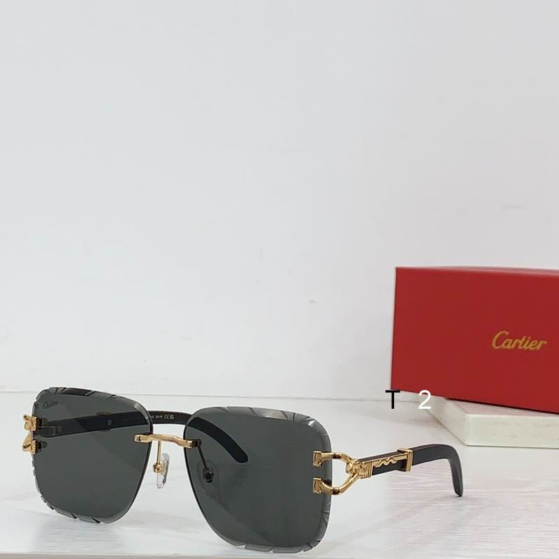 CART Sunglasses 2 Color's