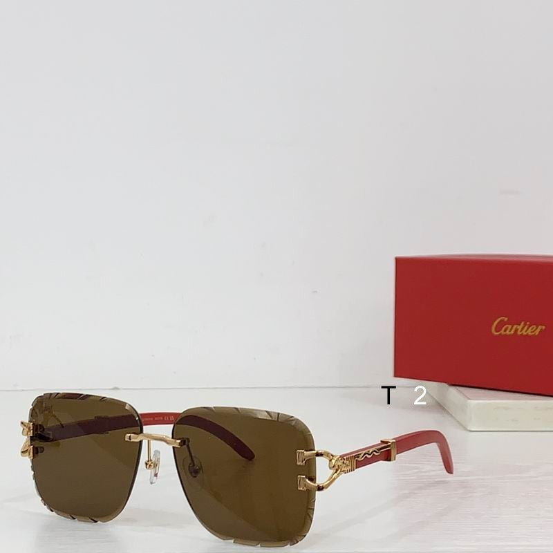 CART Sunglasses 2 Color's