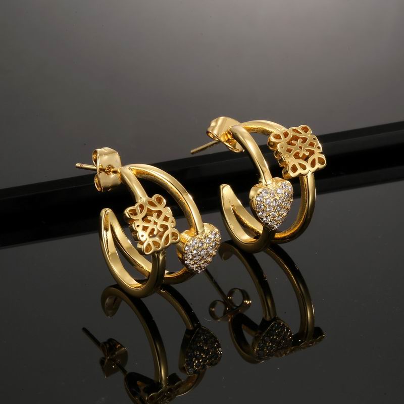 LOEVE  Fashion Earrings