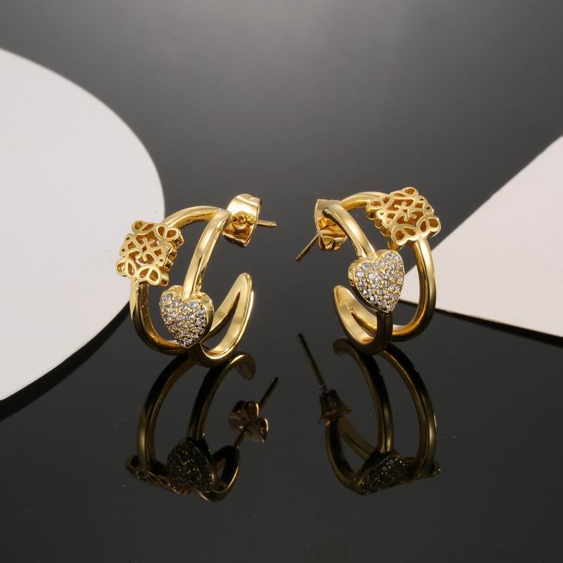LOEVE  Fashion Earrings