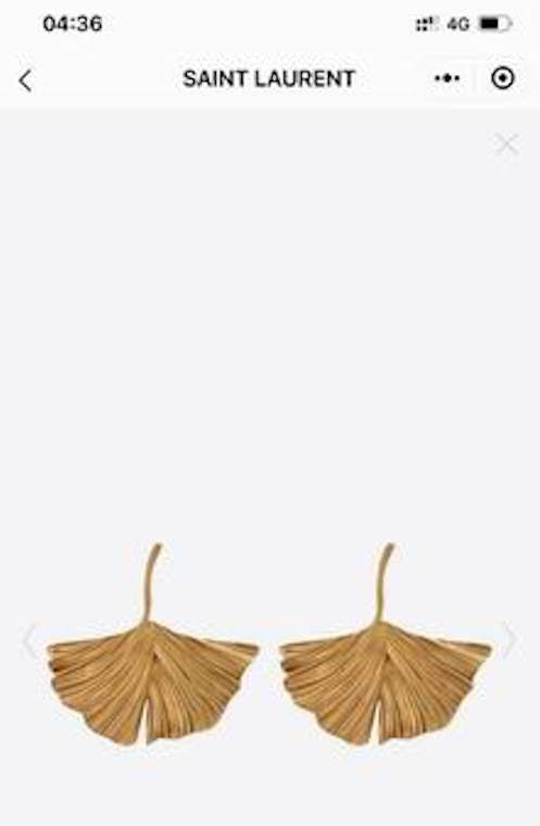 Y L Earrings