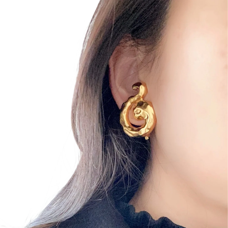 Y L Fashion Earrings