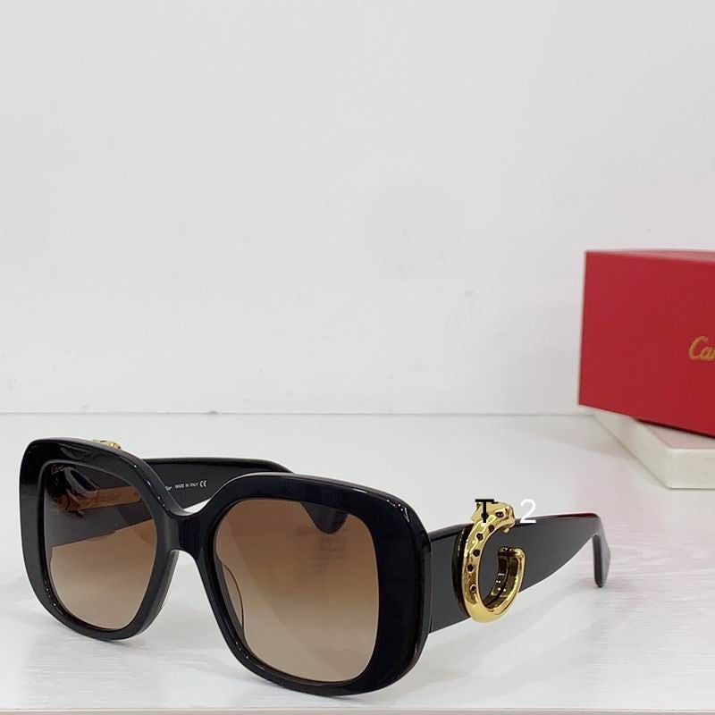 CART  Sunglasses 4 Color's