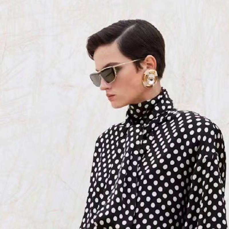 Y L Fashion Earrings