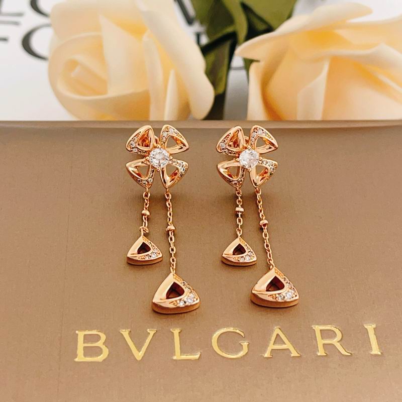 BLGR Fashion Earrings