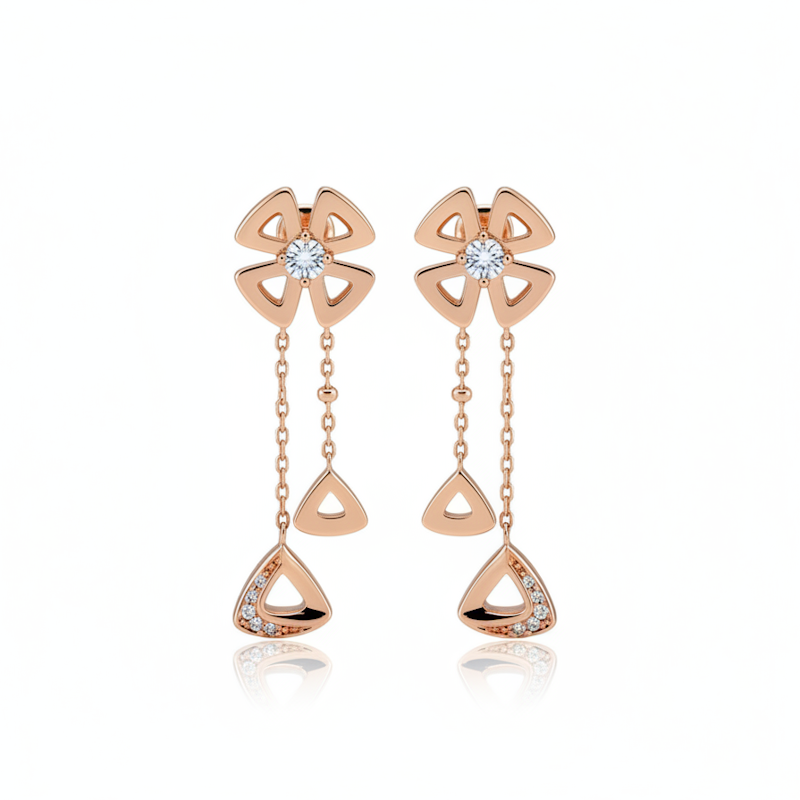 BLGR Fashion Earrings