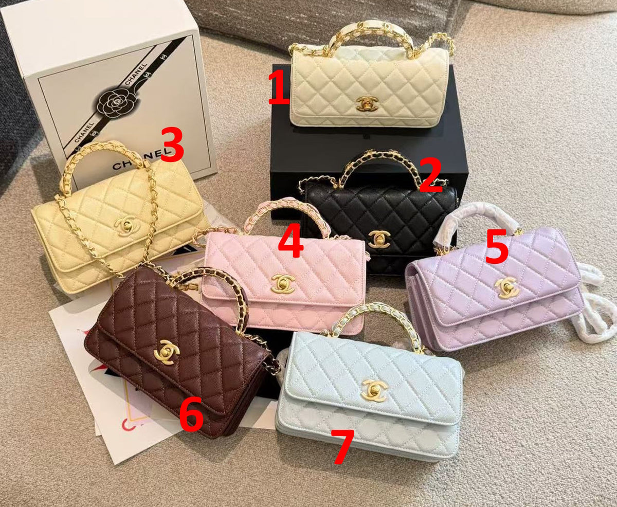 CHL Jewel handle  Bag 5 Color's